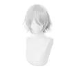 Silver 30cm Fate/Grand Order Lang Lin Wang Cosplay Wig