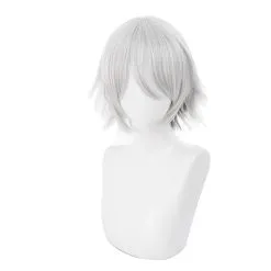 Silver 30cm Fate/Grand Order Lang Lin Wang Cosplay Wig