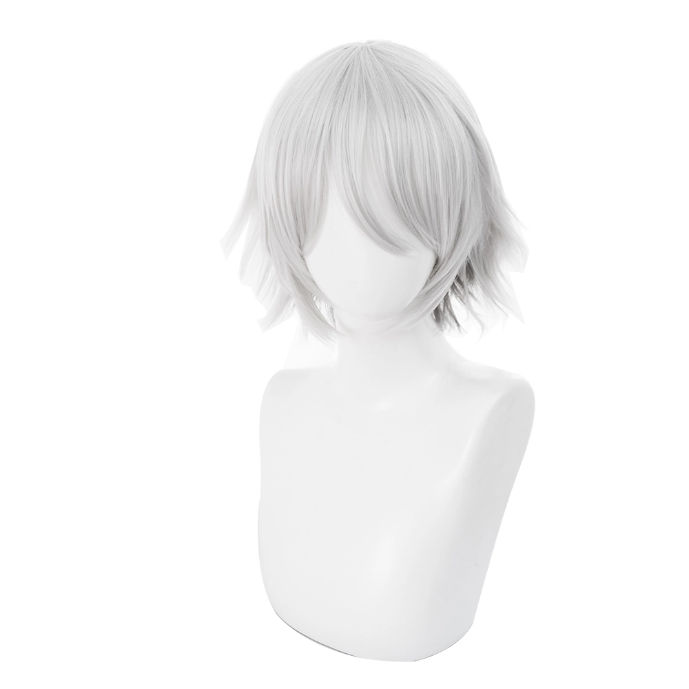 Silver 30cm Fate/Grand Order Lang Lin Wang Cosplay Wig 3 Silver 30cm Fate/Grand Order Lang Lin Wang Cosplay Wig