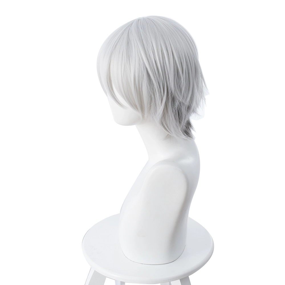 Silver 30cm Fate/Grand Order Lang Lin Wang Cosplay Wig 4 Silver 30cm Fate/Grand Order Lang Lin Wang Cosplay Wig - Image 2