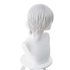 Silver 30cm Fate/Grand Order Lang Lin Wang Cosplay Wig 7 Silver 30cm Fate/Grand Order Lang Lin Wang Cosplay Wig -Disney Costumes Sales COS 002 03 114