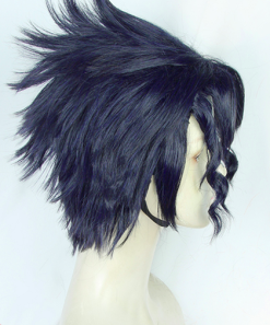 Blue 30cm JoJo's Bizarre Adventure: Stardust Crusaders Jotaro Kujo Cosplay Wig 7 Blue 30cm JoJo's Bizarre Adventure: Stardust Crusaders Jotaro Kujo Cosplay Wig -Disney Costumes Sales COS 018 02 169