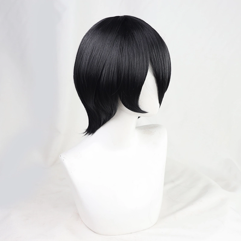 Black 30cm Attack On Titan: The Final Season Mikasa Ackerman Cosplay Wig 5 Black 30cm Attack On Titan: The Final Season Mikasa Ackerman Cosplay Wig - Image 3