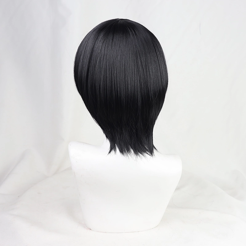 Black 30cm Attack On Titan: The Final Season Mikasa Ackerman Cosplay Wig 6 Black 30cm Attack On Titan: The Final Season Mikasa Ackerman Cosplay Wig - Image 4