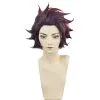 30cm Demon Slayer: Kimetsu No Yaiba Tanjiro Kamado Cosplay Wig 1 30cm Demon Slayer: Kimetsu No Yaiba Tanjiro Kamado Cosplay Wig -Disney Costumes Sales COS 023 01 135