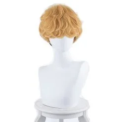 30cm Kyo Kara Ore Wa!! Takashi Mitsuhashi Cosplay Wig