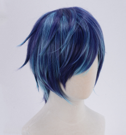 Purple And Blue 30cm Sarazanmai Toi Kuji Cosplay Wig -Disney Costumes Sales COS 044 02 67