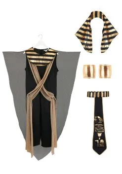 Fun Costumes All Powerful Pharaoh Men's Costume -Disney Costumes Sales adult all powerful pharaoh alt 1
