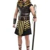 Fun Costumes Ancient Pharaoh Adult Costume 2 Fun Costumes Ancient Pharaoh Adult Costume -Disney Costumes Sales adult ancient pharaoh
