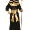 Forum Novelties, Inc Adult Black Pharaoh Costume