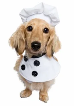 Pet Krewe Chef Dog Costume
