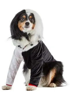 Rubies Costume Co. Inc Disney Villains Cruella De Vil Pet Costume