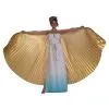 Forum Novelties, Inc Gold Theatrical Wings -Disney Costumes Sales gold theatrical wings
