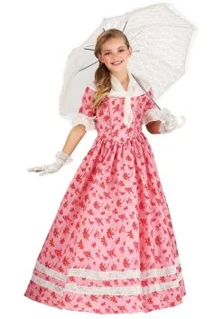 Fun Costumes Lovely Southern Belle Costume For Kids