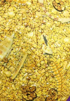 Fun Costumes Disney Moana Tamatoa Costume For Kids 15 Fun Costumes Disney Moana Tamatoa Costume For Kids -Disney Costumes Sales kids tamatoa costume alt 1