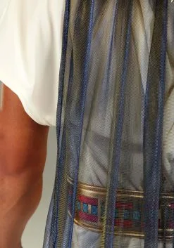 Fun Costumes King Tut Costume For Men -Disney Costumes Sales mens king tut costume alt 6