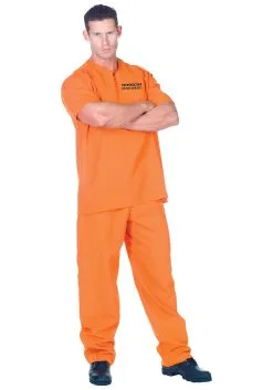 Underwraps Plus Size Public Offender Inmate Costume