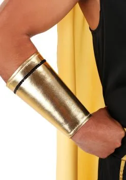 Dreamgirl Plus Size King Of Egypt Costume -Disney Costumes Sales plus size king of egypt costume alt 7