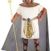 Fun Costumes Plus Size King Tut Costume For Men