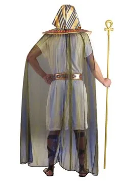 Fun Costumes Plus Size King Tut Costume For Men -Disney Costumes Sales plus size king tut costume alt 1