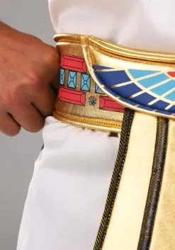 Fun Costumes Plus Size King Tut Costume For Men -Disney Costumes Sales plus size king tut costume alt 3