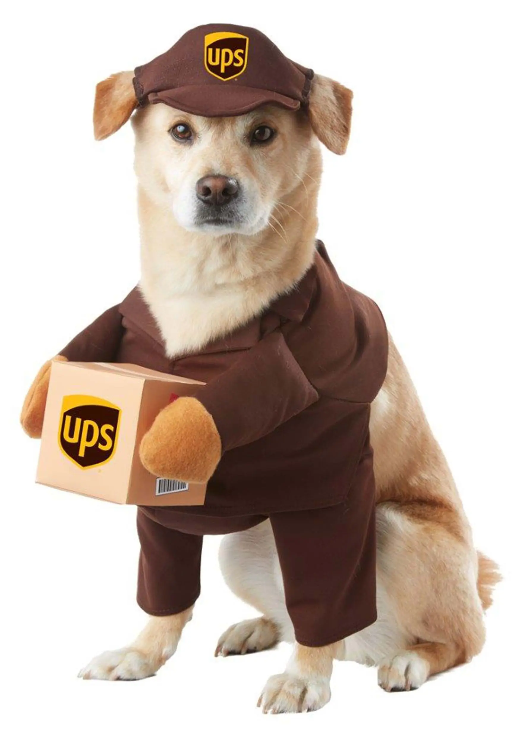 California Costume Collection UPS Dog Costume 3 California Costume Collection UPS Dog Costume